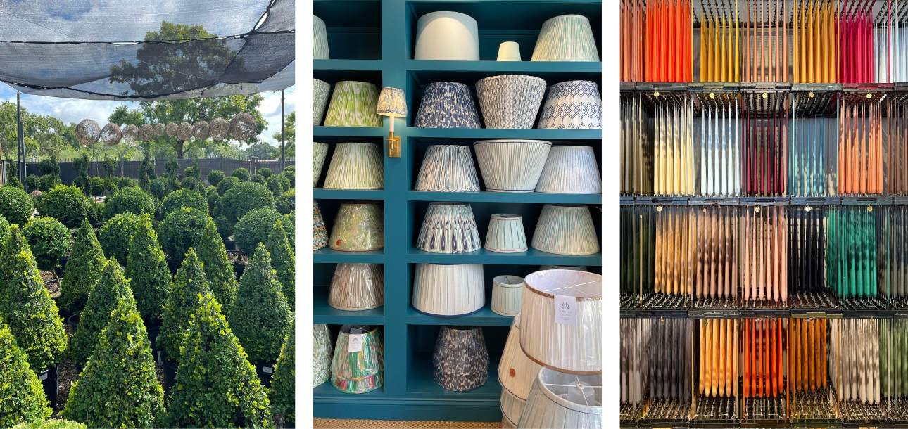Images of plants available at Elizabeth Stuart, lamp shades at Sorella Glenn, and candles at Wentworth in Charleston, SC