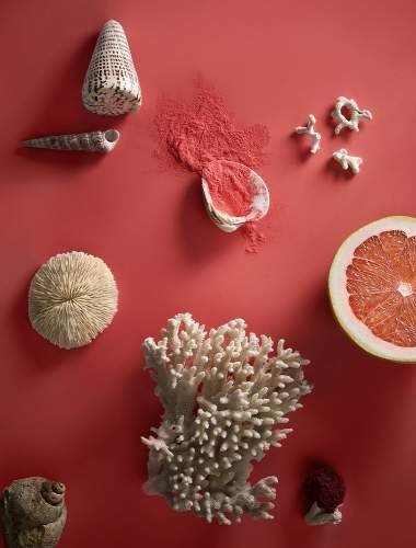 Poinciana Coral Vertical Moodboard