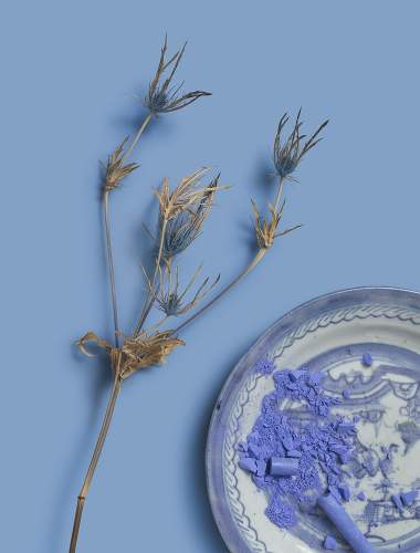 Porcelain plate and dried plant on an aquatic shade of blue