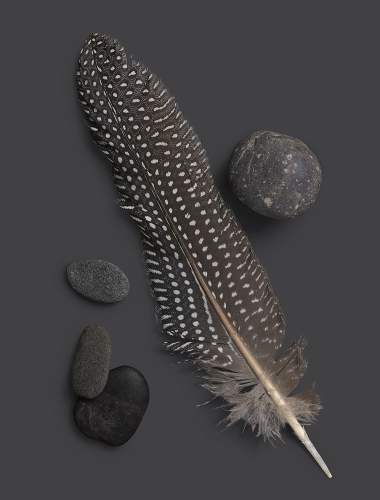 Dark stones and feather on an expresso black background