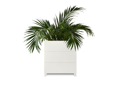 Highland Palm Box finished in Classic White with ferns
