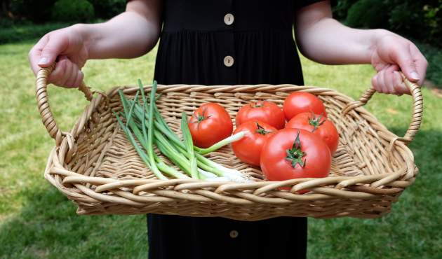 Tomatoes in a basket