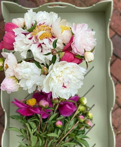 McKinnon and Harris Gilliam Tray Table with flowers on top