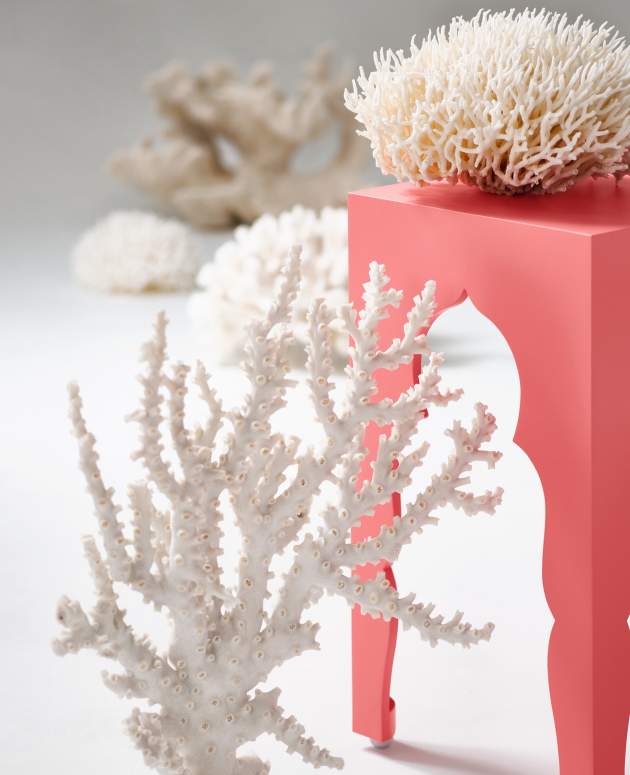 Yves Table finished in Poinciana Coral