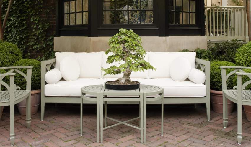 Co-founder Will Massie's Garden and Bonsai plant