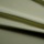 Kinglet